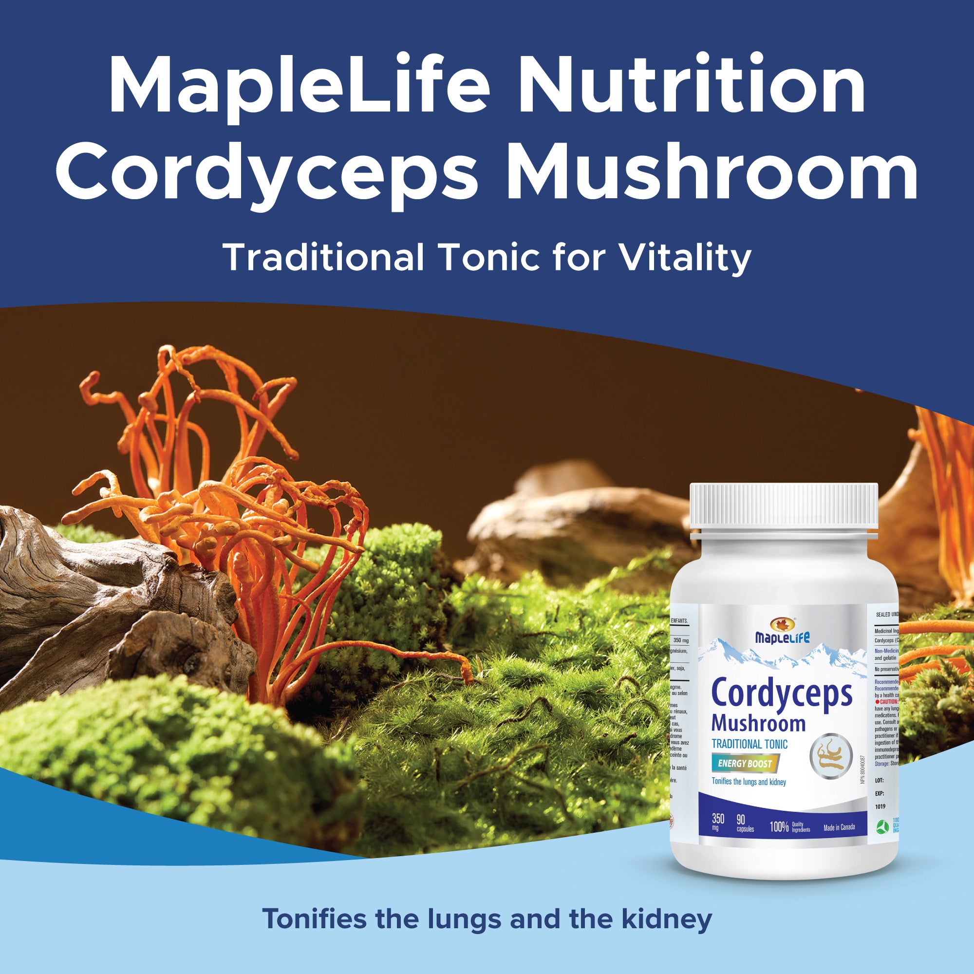 Cordyceps Mushroom 350mg 90 Capsules