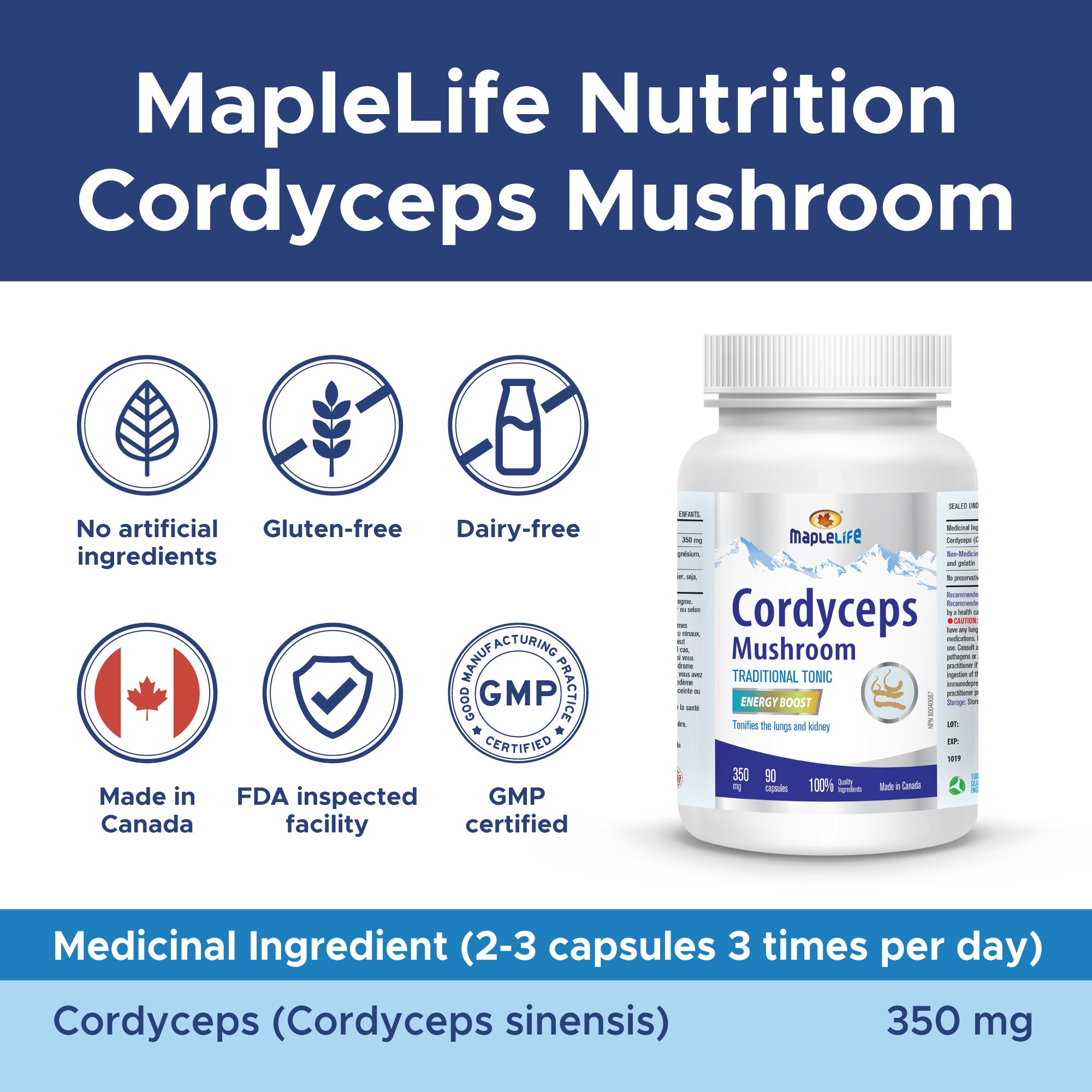 Cordyceps Mushroom 350mg 90 Capsules