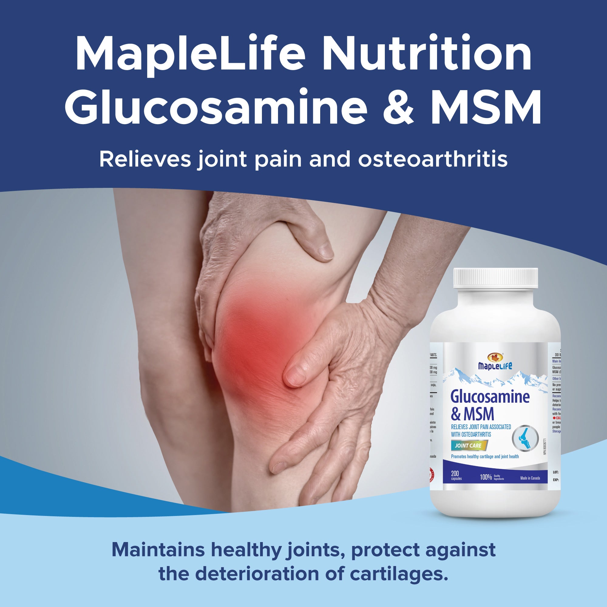 Glucosamine Plus MSM 1000mg 200 Capsules