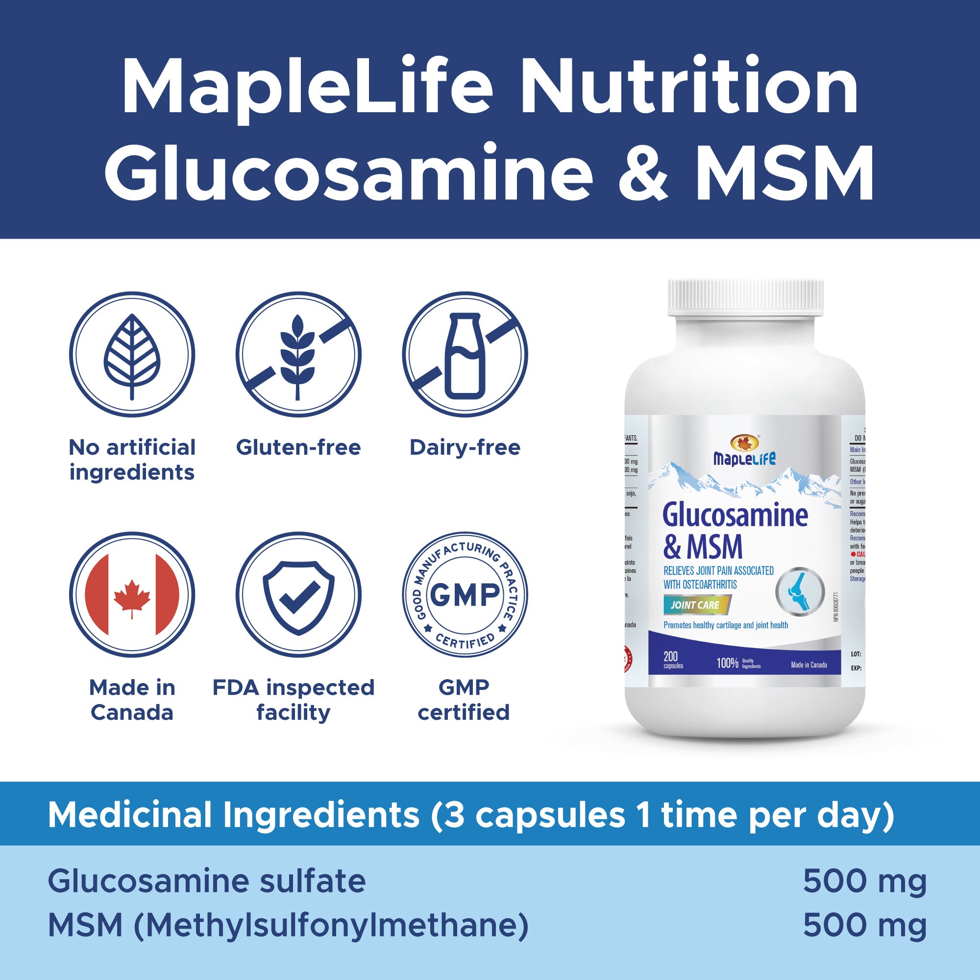 Glucosamine Plus MSM 1000mg 200 Capsules