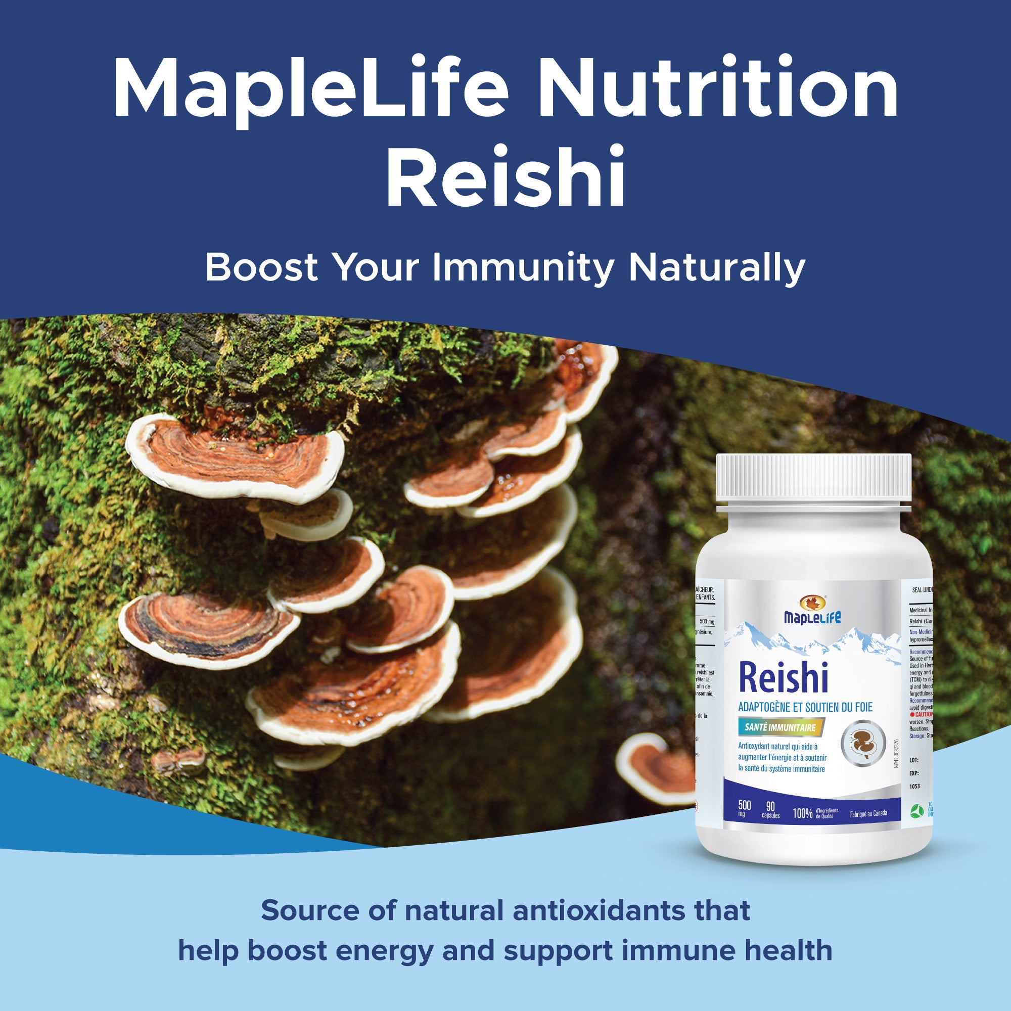 Reishi Mushroom 500mg 90 Capsules